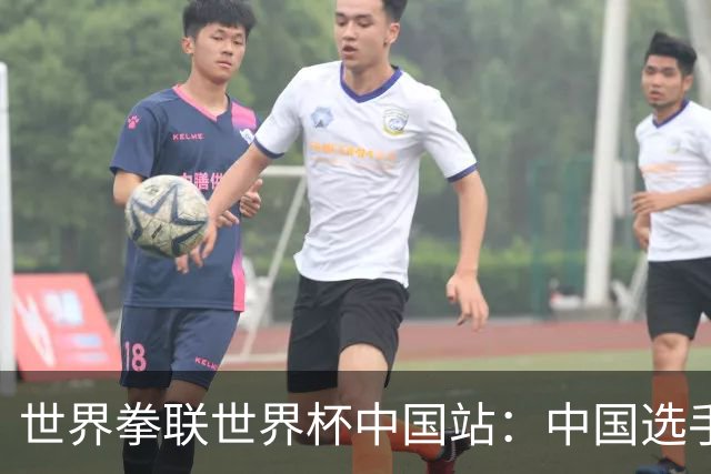 世界拳联世界杯中国站：中国选手斩获5金